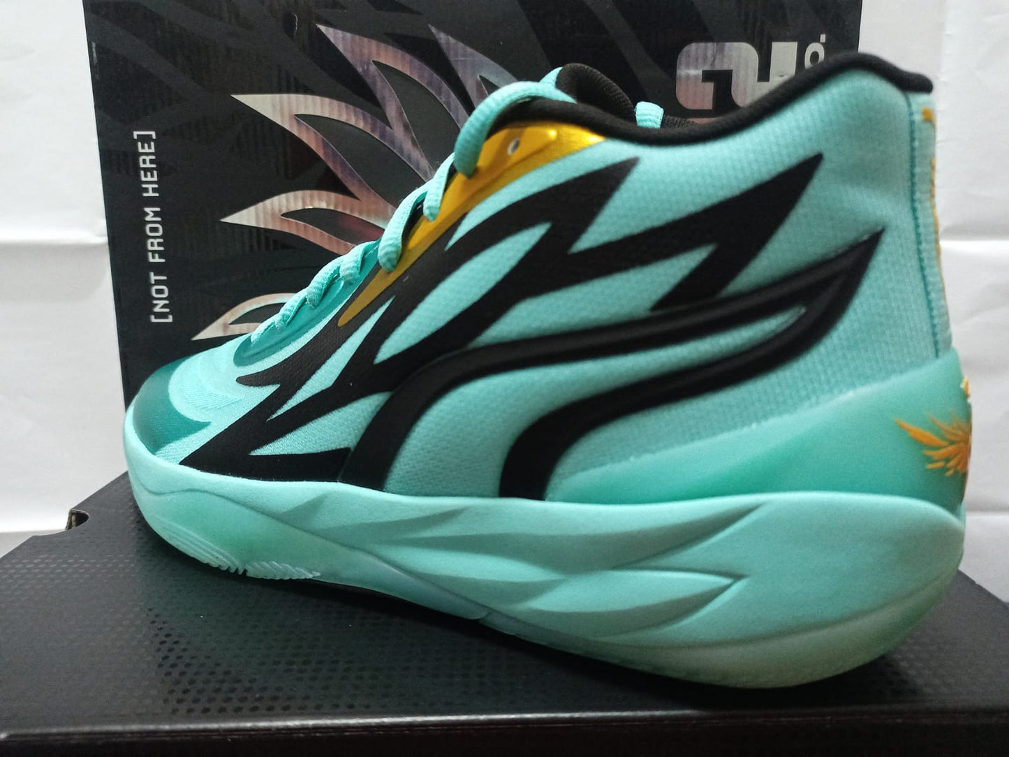 Puma MB.02 'Honeycomb'
