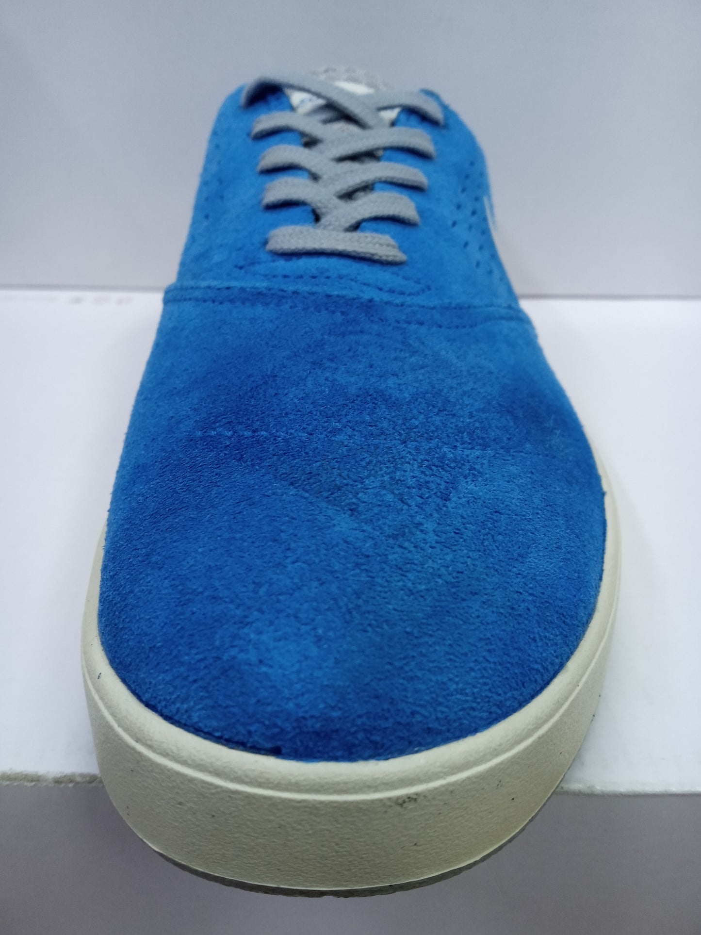 Nike Eric Koston 2 Photo Blue
