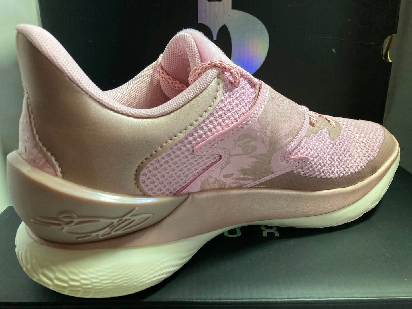 Curry Brand Curry Fox 1 'Reign Rose'
