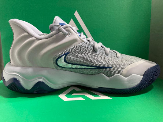 Nike Giannis Immortality 4 'Wolf Grey Midnight Navy'