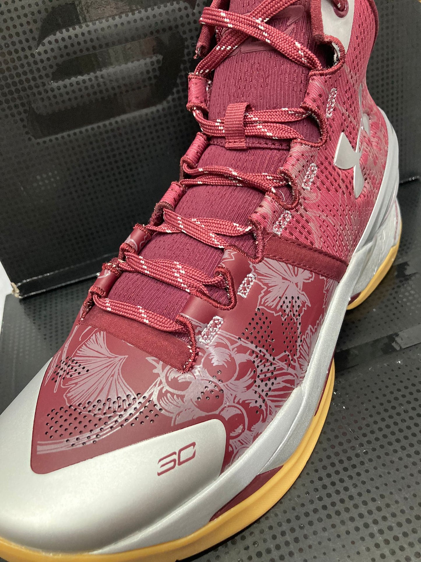 Under Armour Curry 2 Retro 'Domaine'