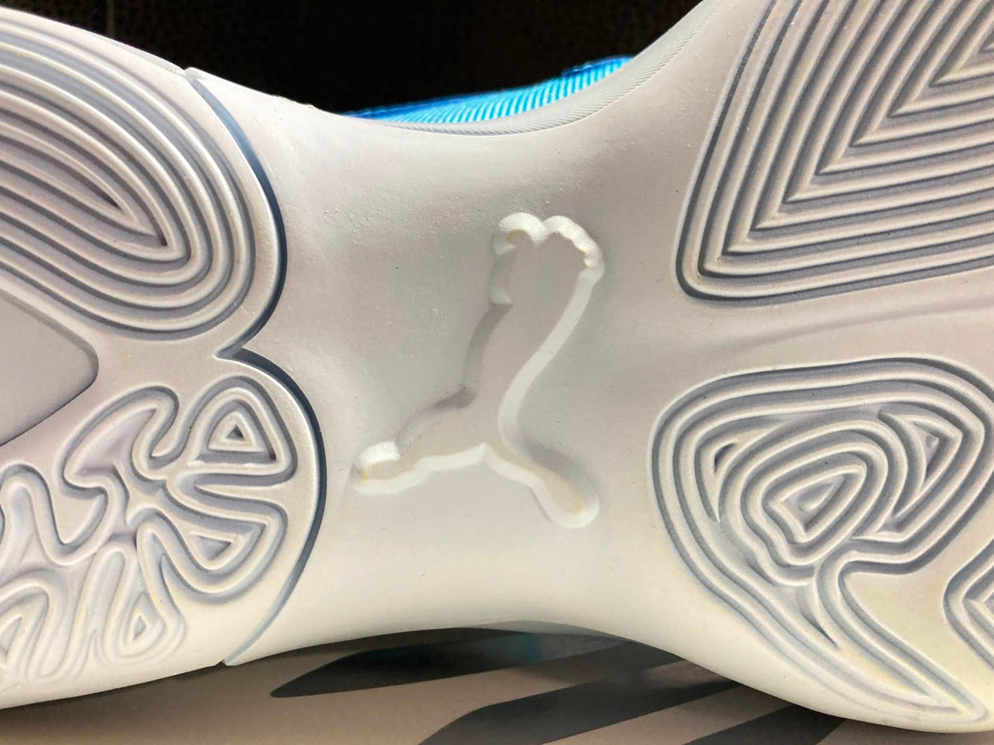 Puma J Genetics Jr