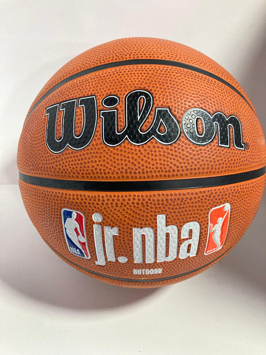 Balón Wilson Jr NBA FAMILY LOGO AUTH OUTDOOR