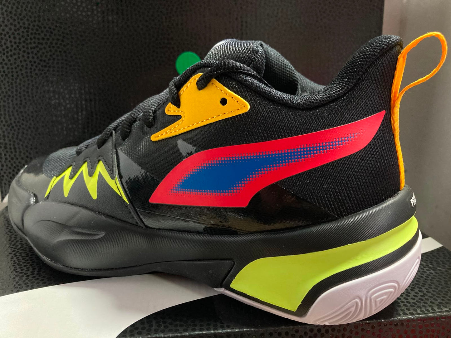 Puma black genetics JR