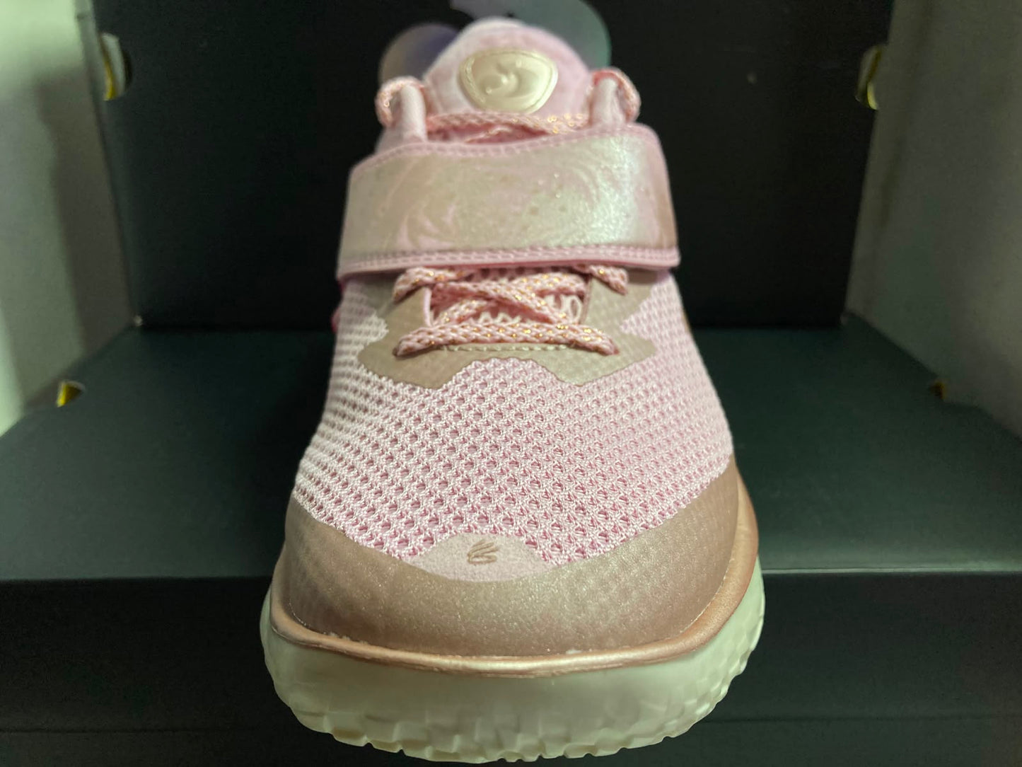 Curry Brand Curry Fox 1 'Reign Rose'