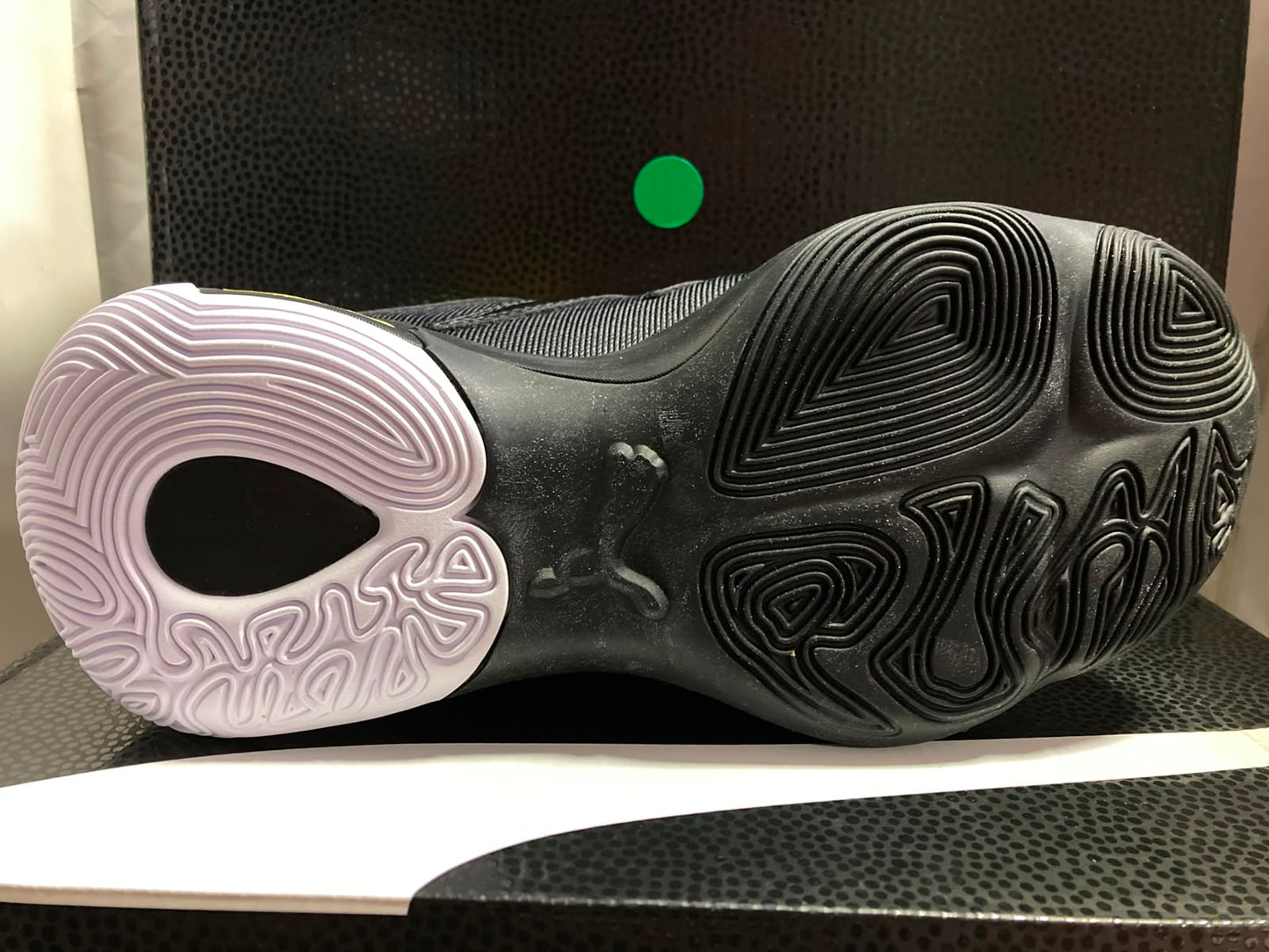 Puma black genetics JR